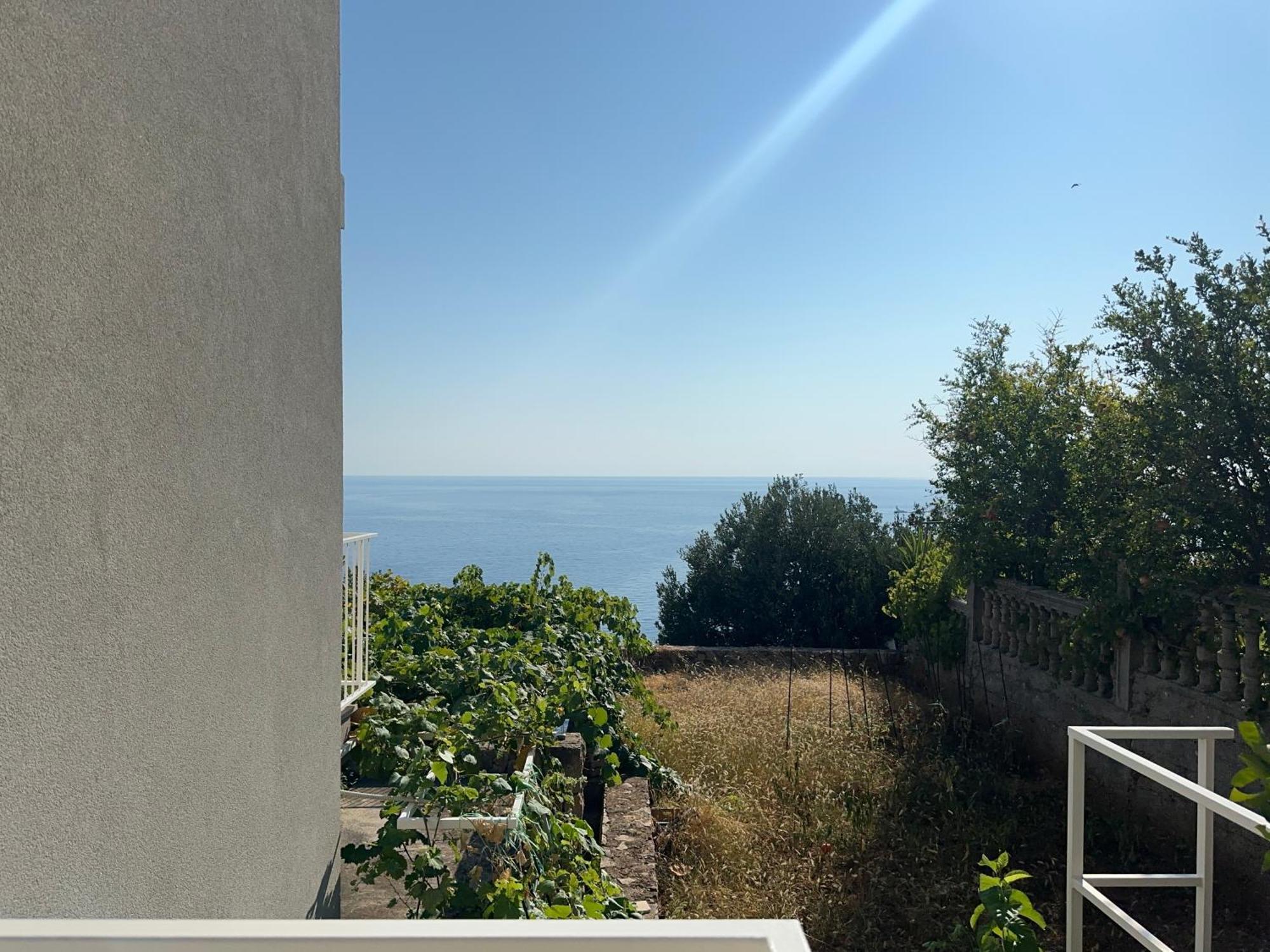 Apartments Blue Horizon Cavtat Exterior photo